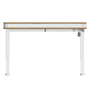 Motioncraft Sit Stand Desk Motorised (4)